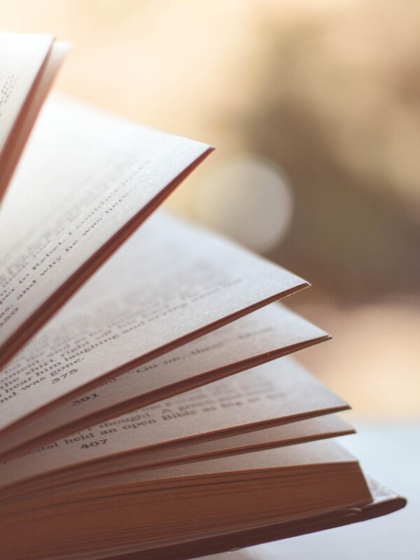 Обложка: открытая книга с главами
