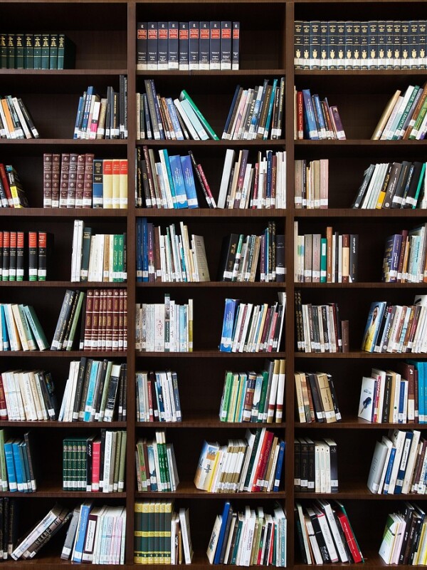 Обложка: полки библиотеки с книгами